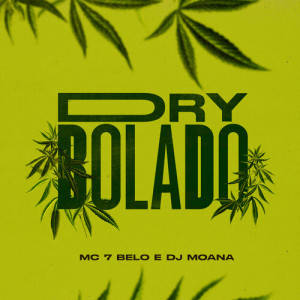 Listen to Dry Bolado (Explicit) song with lyrics from DJ Moana