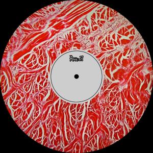 收聽Reddie的BRUTO歌詞歌曲