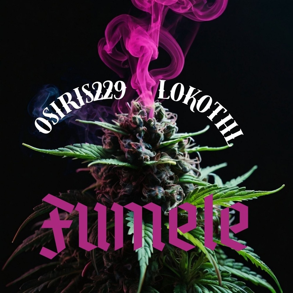 FUMELE