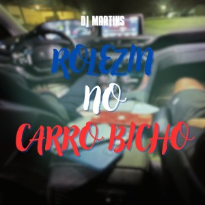 Album ROLEZIN NO CARRO BICHO (Explicit) from DJ Martins