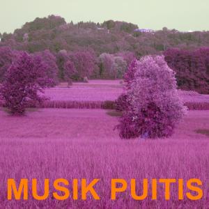 收听Roberto Panduan的Musik Puitis歌词歌曲