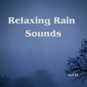 Relaxing Rain Sounds (Vol.15)