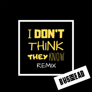 收听Ace Rosewall的I Don't Think They Know (Bushhead Remix)歌词歌曲