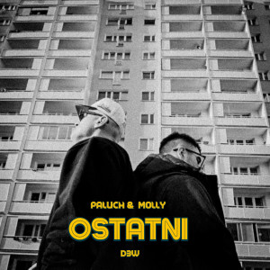 Album Ostatni (Explicit) oleh Paluch