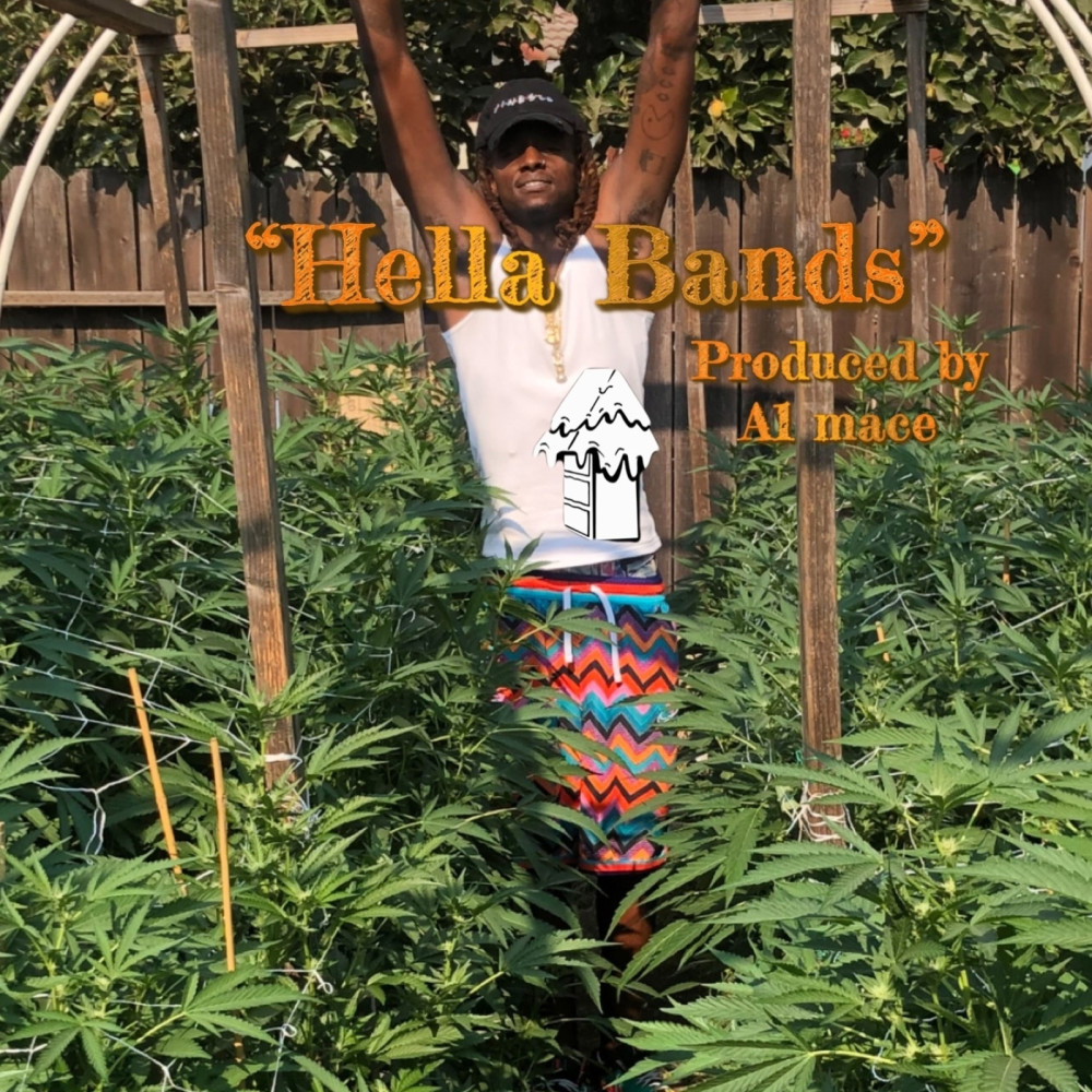 Hella Bands (Explicit)