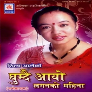 Various Artists的專輯Ghumdai Aayo Lagan Ko Mahina