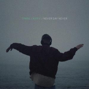 ดาวน์โหลดและฟังเพลง Never Say Never (Radio Edit) พร้อมเนื้อเพลงจาก Edward Spark