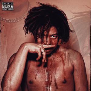 收聽Croti的LAPTOP DEL GOBIERNO (Explicit)歌詞歌曲