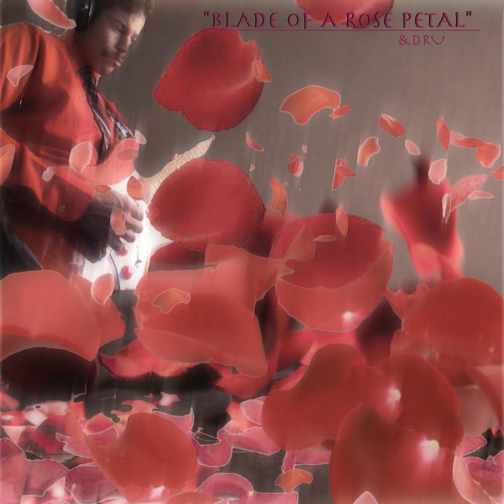 Blade of a Rose Petal
