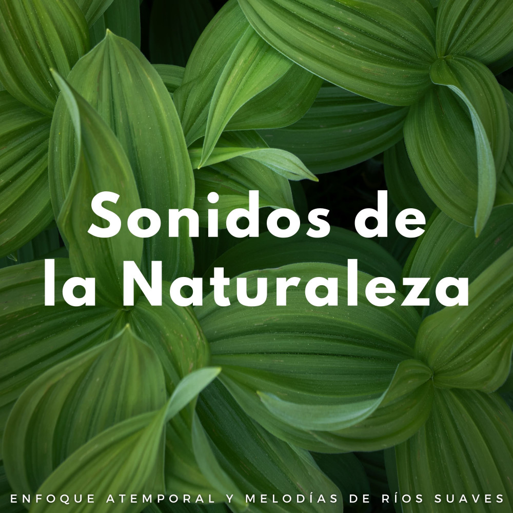 Paisaje Sonoro De Río Atento