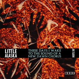 Little Alaska的專輯These Days I Wake to the Sound of a New Dawn Chorus
