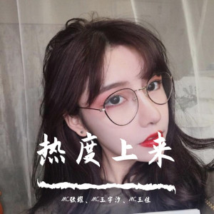 Listen to 人生总是匆匆忙忙（DJ版） song with lyrics from MC张耀