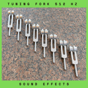Listen to Tuning Fork 512 Hz Sound Effects song with lyrics from Sound Effects Nation