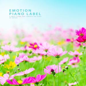 ดาวน์โหลดและฟังเพลง Speculation Nature Version (Nature Ver.) พร้อมเนื้อเพลงจาก 박규연