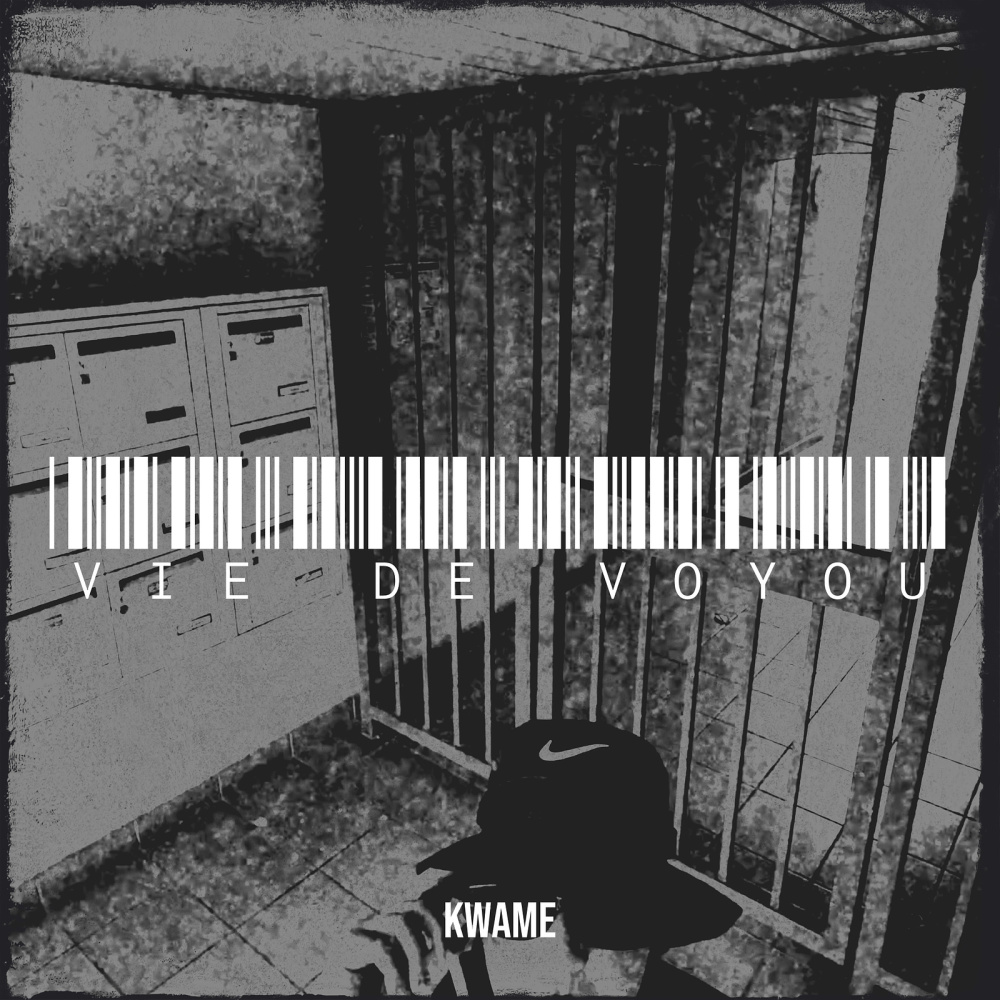 Vie de voyou (Explicit)