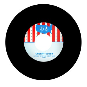 ดาวน์โหลดและฟังเพลง I Cannot Stop You พร้อมเนื้อเพลงจาก Cherry Slush