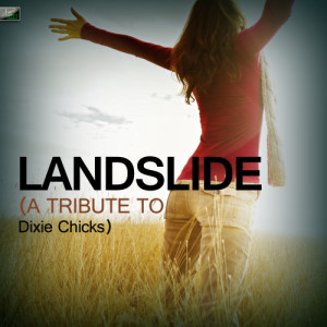 收聽Ameritz Tribute Standards的Landslide (A Tribute to Dixie Chicks)歌詞歌曲