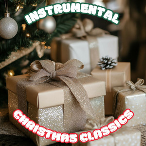 Instrumental Christmas Classics Vol. 14