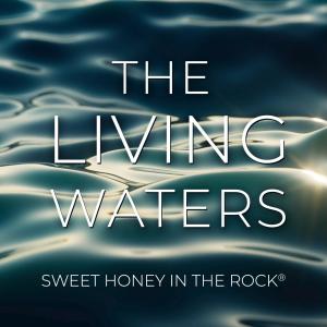 Sweet Honey In The Rock的專輯The Living Waters