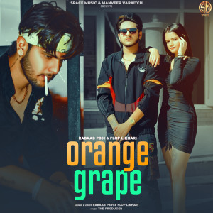Listen to Orange Grape song with lyrics from Rabaab Pb31