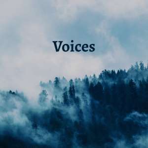 Listen to Voices (feat. Flyint) song with lyrics from VAVA