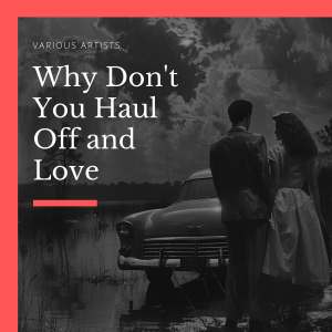 收听Pat Boone的Why Don't You Haul Off and Love歌词歌曲
