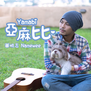 收听黄明志的亚麻比歌词歌曲