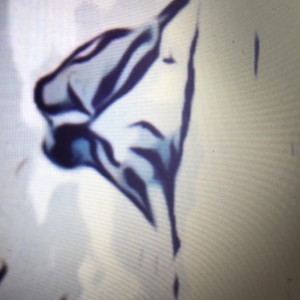 收聽Trina的Ain't Nobody Gonna Love You Not Like I Do歌詞歌曲