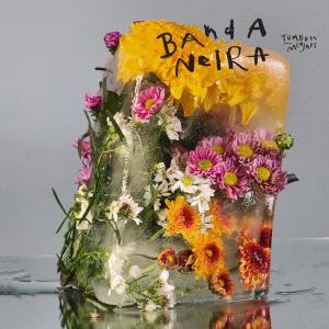 Banda Neira的專輯Tumbuh dan Menjadi