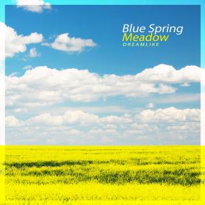 Dreamlike的專輯Blue spring meadow