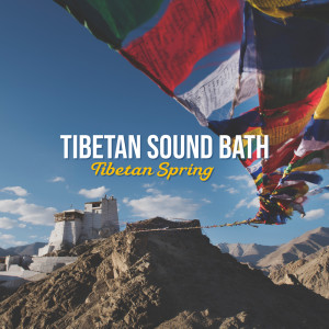 Dengarkan Relaxation in Mountains lagu dari Bath Spa Relaxing Music Zone dengan lirik