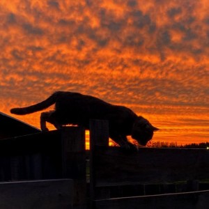 收聽Rxnxtx的The World II歌詞歌曲