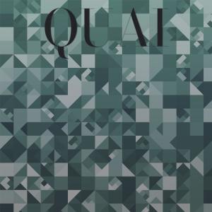 Listen to Quai song with lyrics from Shang Helio