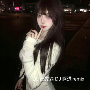 Album 口水旋律 from Dj普先森