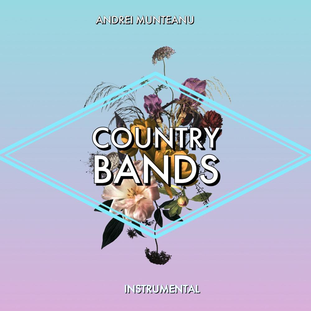 Country Bands