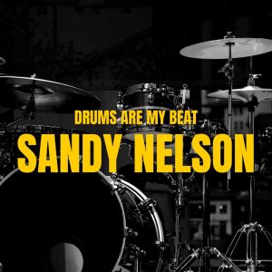 Sandy Nelson的专辑Drums Are My Beat