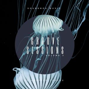 收聽Sid Fidla James的Understand ((Original Mix))歌詞歌曲