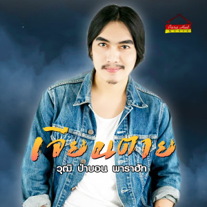 Listen to เจียนตาย song with lyrics from วุฒิ ป่าบอน พาราฮัท