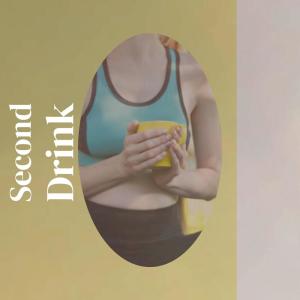 Album Second Drink from Various