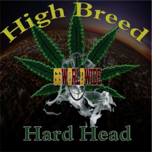 收聽Hard Head的We Be歌詞歌曲