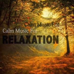 อัลบัม Calm Music for Relaxation ศิลปิน Classical Music Radio