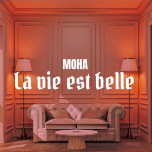 ดาวน์โหลดและฟังเพลง La vie est belle (Explicit) พร้อมเนื้อเพลงจาก Moha