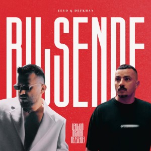 Listen to Bilsen de song with lyrics from Zeyd