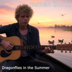 Listen to Dragonflies in the Summer song with lyrics from Nathan Smith