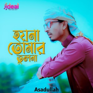 Listen to Hoyna Tomar Tulo Na song with lyrics from Asadullah