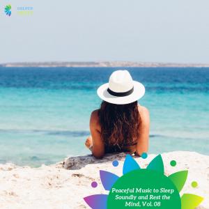Various Artists的專輯Peaceful Music to Sleep Soundly and Rest the Mind, Vol. 08