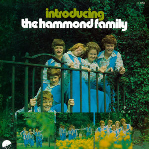 ดาวน์โหลดและฟังเพลง Amber พร้อมเนื้อเพลงจาก The Hammond Family