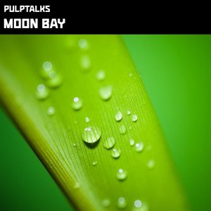 Listen to Moon Bay song with lyrics from PulpTalks