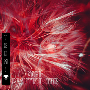 Beautiful Trip (Original Mix)