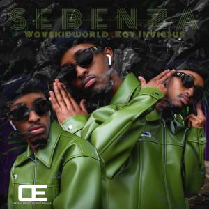Wavekidworld的專輯Sebenza (feat. Kay Invictus)